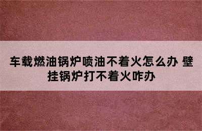 车载燃油锅炉喷油不着火怎么办 壁挂锅炉打不着火咋办